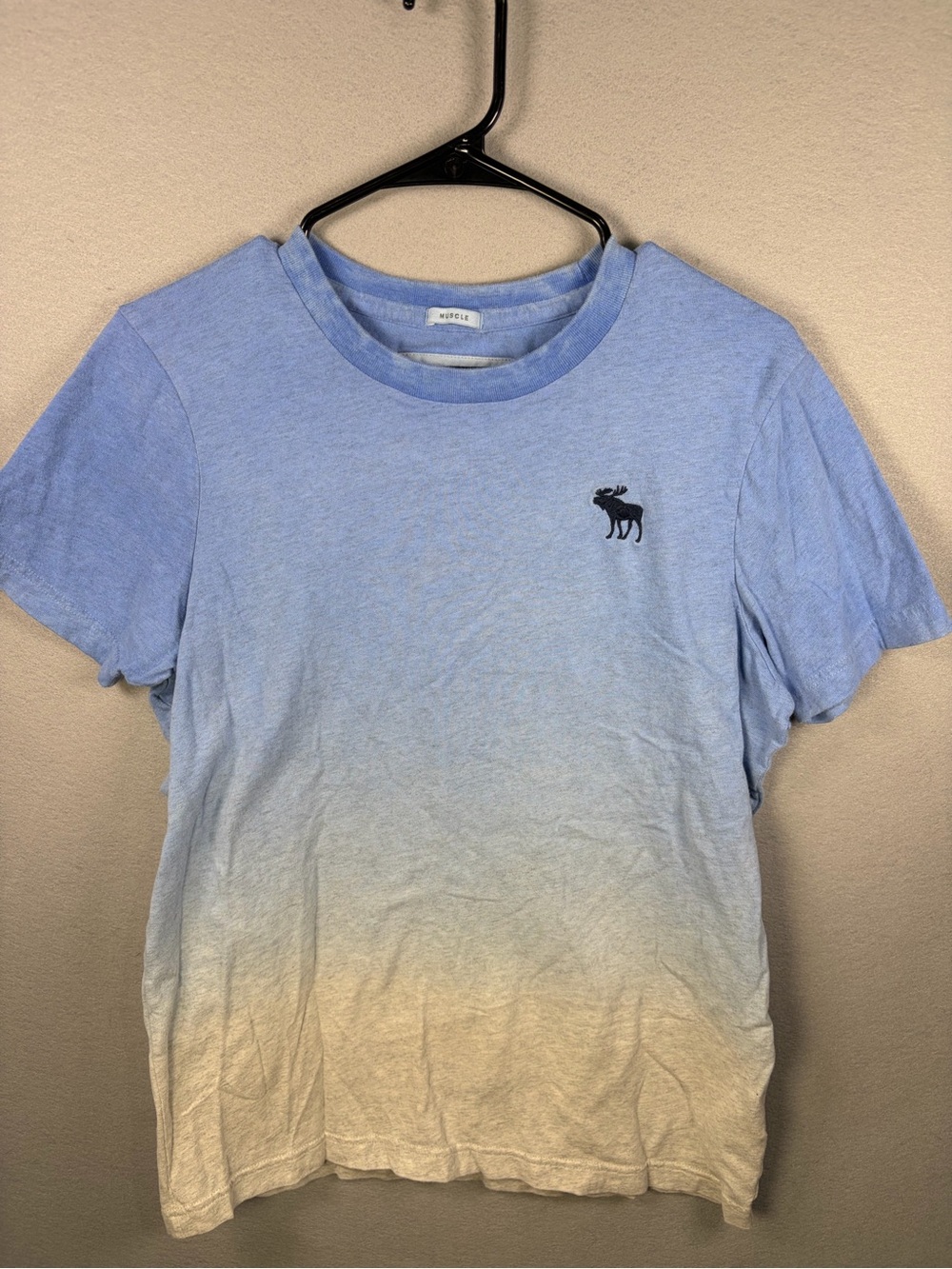 Abercrombie & Fitch Blue to Cream Ombre Moose Tee